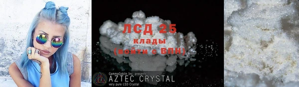 крисы Алексин