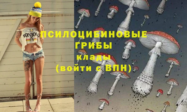 скорость Абаза