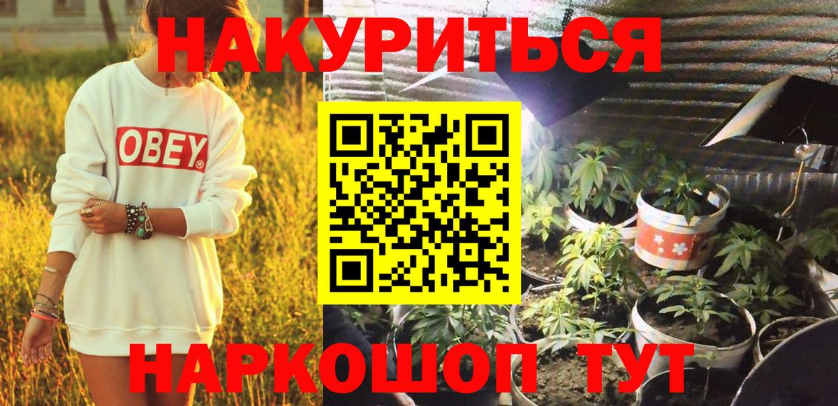 Бошки Шишки гибрид  МАРИХУАНА конопля  Вход с VPN  Каннабис ГИДРОПОН  Канабис VHQ  Керчь 